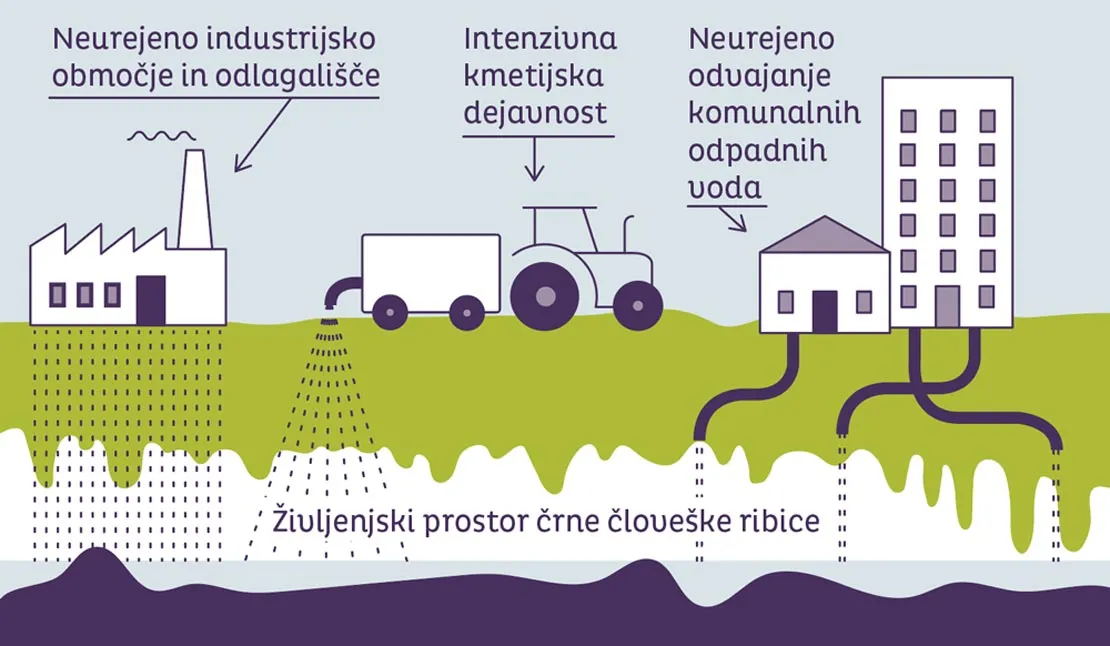 Prikaz glavnih virov onesnaženja v habitatu črnega močerila.